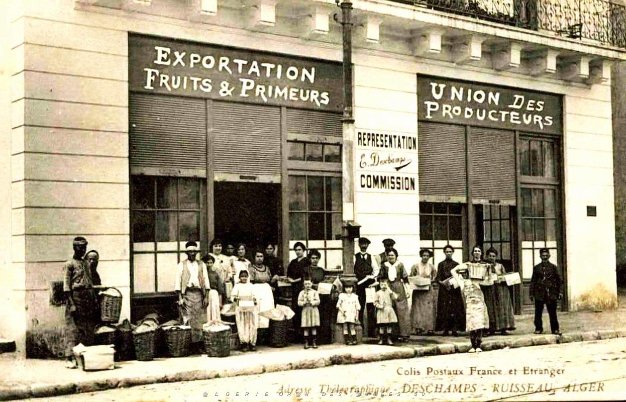 1654- Alger-Ruisseau - Union des producteurs de fruits.jpg
